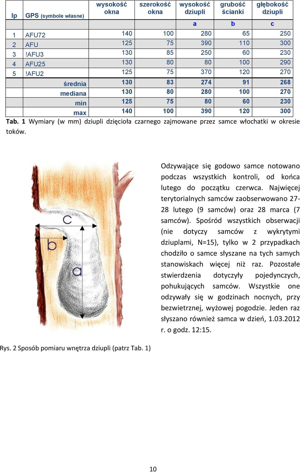 1 Wymiary (w mm) dziupli dzięcioła czarnego zajmowane przez samce włochatki w okresie toków. Rys. 2 Sposób pomiaru wnętrza dziupli (patrz Tab.