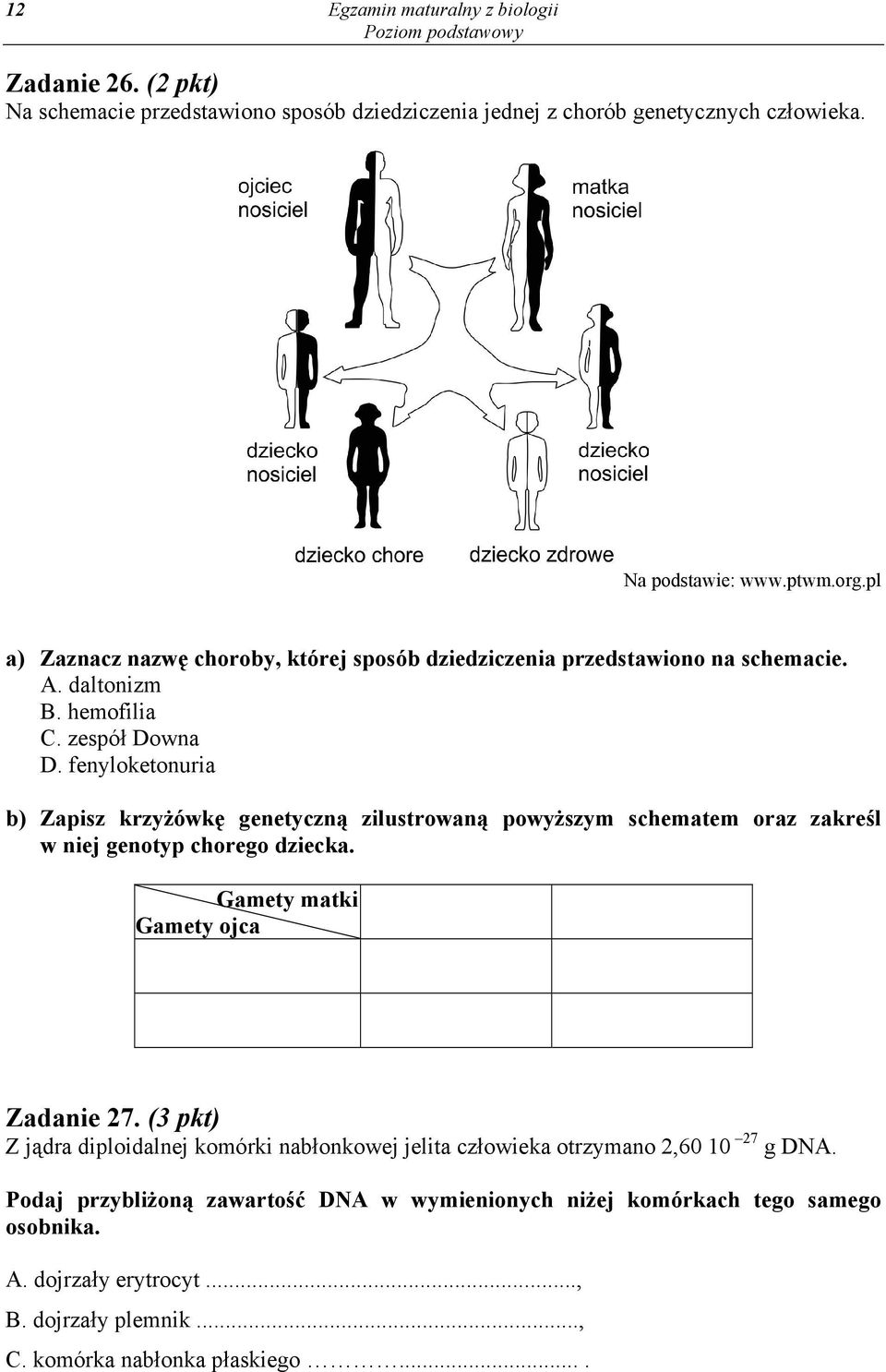 fenyloketonuria b) Zapisz krzyżówkę genetyczną zilustrowaną powyższym schematem oraz zakreśl w niej genotyp chorego dziecka. Gamety matki Gamety ojca Zadanie 27.