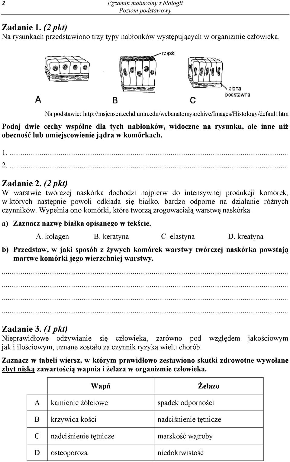 (2 pkt) W warstwie twórczej naskórka dochodzi najpierw do intensywnej produkcji komórek, w których następnie powoli odkłada się białko, bardzo odporne na działanie różnych czynników.