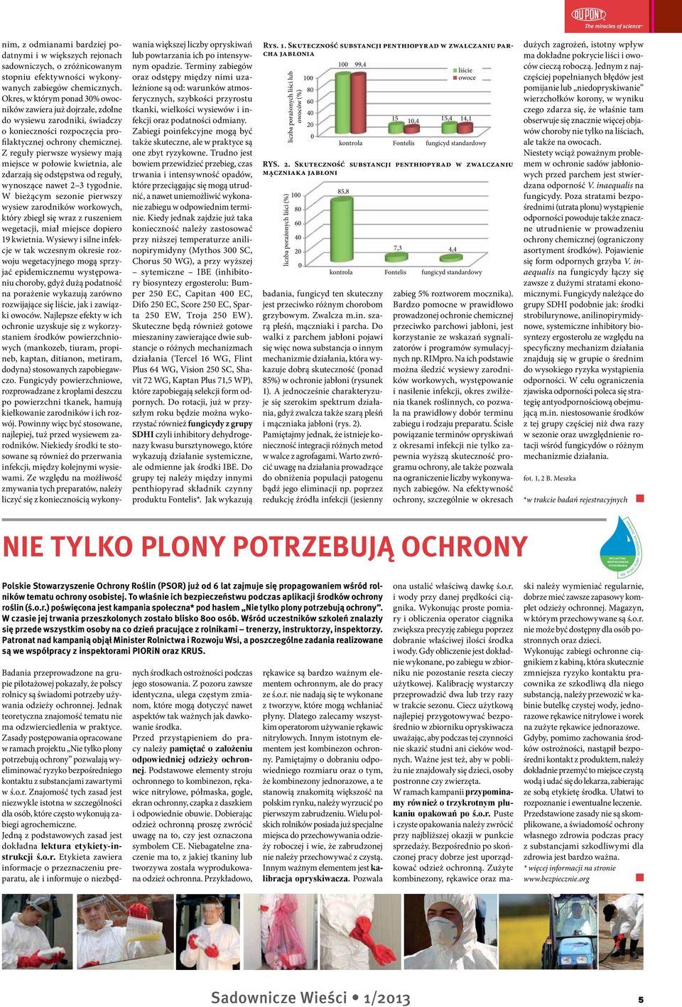 Z reguły pierwsze wysiewy mają miejsce w połowie kwietnia, ale zdarzają się odstępstwa od reguły, wynoszące nawet 2 3 tygodnie.