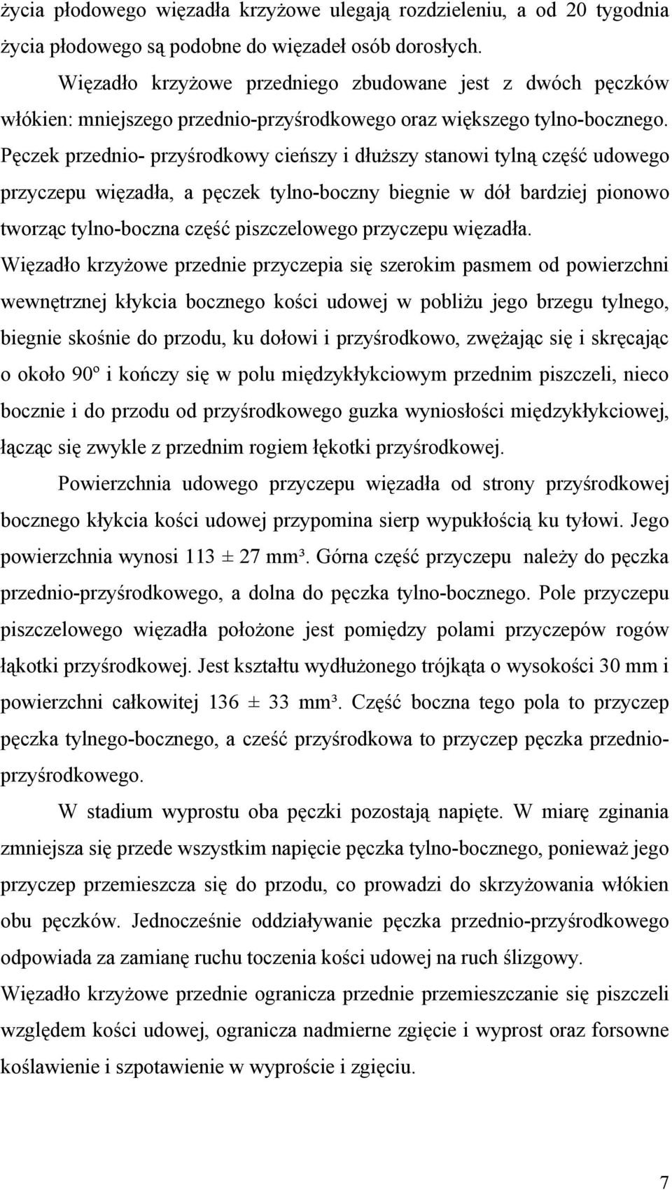 Pęczek przednio- przyśrodkowy cieńszy i dłuższy stanowi tylną część udowego przyczepu więzadła, a pęczek tylno-boczny biegnie w dół bardziej pionowo tworząc tylno-boczna część piszczelowego przyczepu