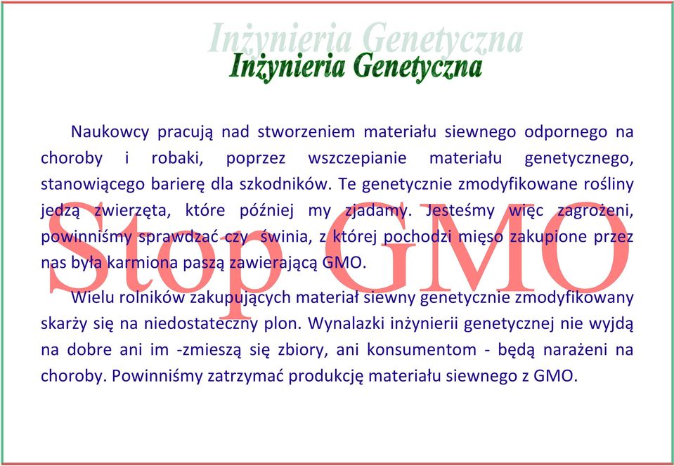 Jesteśmy więc zagrożeni, powinniśmy sprawdzać czy świnia, z której pochodzi mięso zakupione przez nas była karmiona paszą zawierającą GMO.