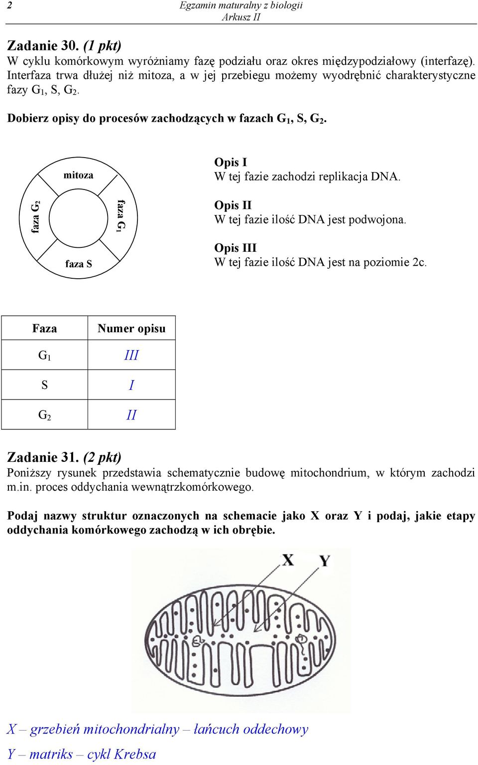 mitoza Opis I W tej fazie zachodzi replikacja DNA. faza G2 faza G1 Opis II W tej fazie ilość DNA jest podwojona. faza S Opis III W tej fazie ilość DNA jest na poziomie 2c.