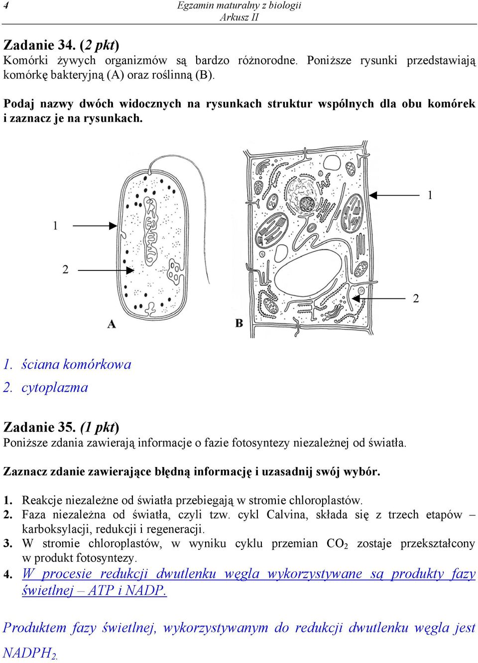 (1 pkt) Poniższe zdania zawierają informacje o fazie fotosyntezy niezależnej od światła. Zaznacz zdanie zawierające błędną informację i uzasadnij swój wybór. 1.