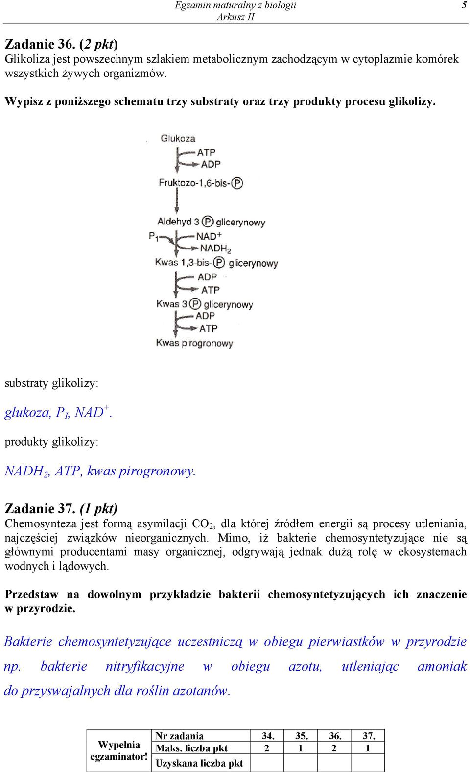 (1 pkt) Chemosynteza jest formą asymilacji CO 2, dla której źródłem energii są procesy utleniania, najczęściej związków nieorganicznych.