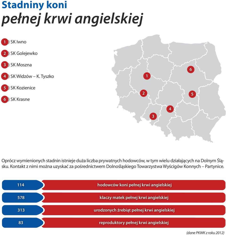 działających na Dolnym Śląsku. Kontakt z nimi można uzyskać za pośrednictwem Dolnośląskiego Towarzystwa Wyścigów Konnych Partynice.