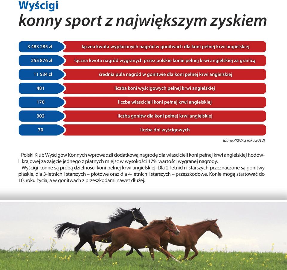 krwi angielskiej liczba gonitw dla koni pełnej krwi angielskiej liczba dni wyścigowych (dane PKWK z roku 2012) Polski Klub Wyścigów Konnych wprowadził dodatkową nagrodę dla właścicieli koni pełnej