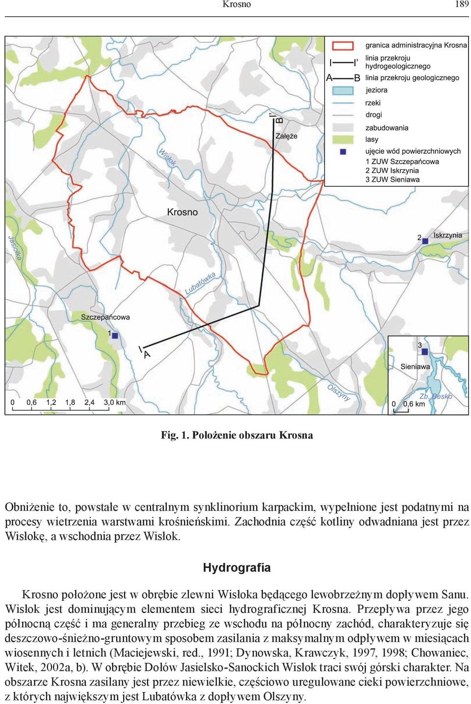 Wisłok jest dominującym elementem sieci hydrograficznej Krosna.
