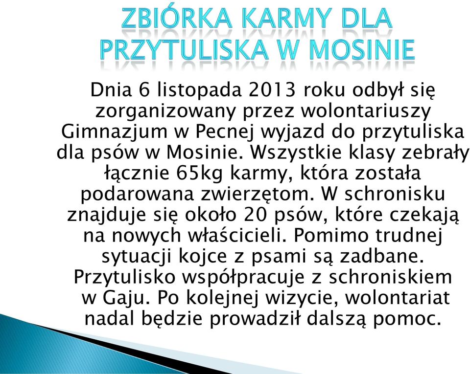 W schronisku znajduje się około 20 psów, które czekają na nowych właścicieli.