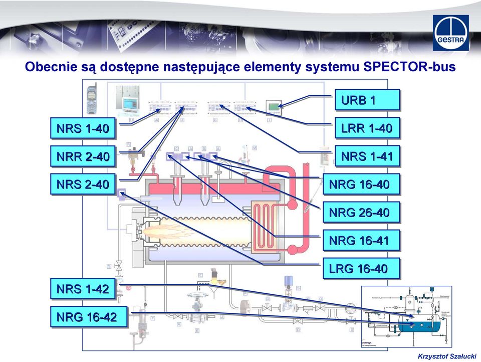 2-402 NRS 2-402 LRR 1-401 NRS 1-41 NRG