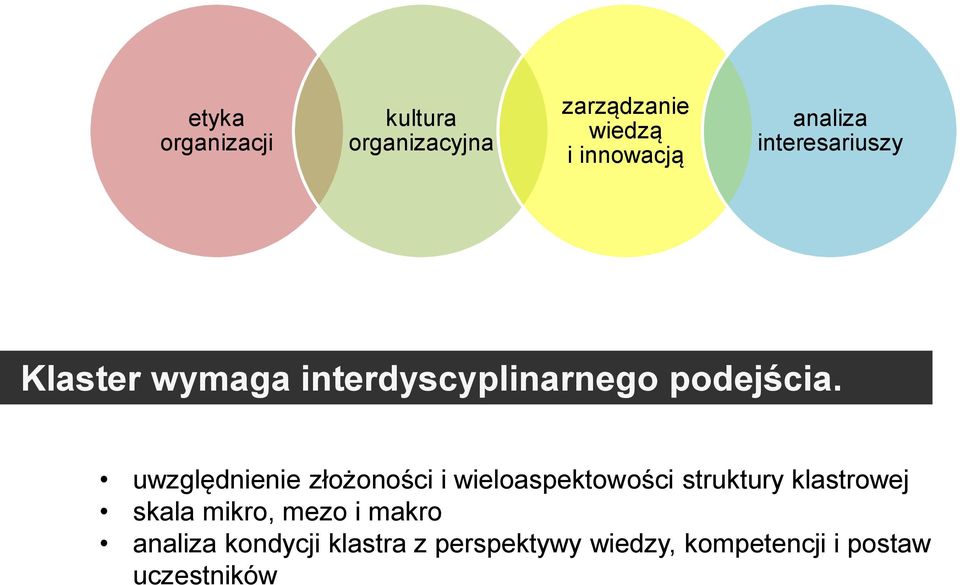 uwzględnienie złożoności i wieloaspektowości struktury klastrowej skala