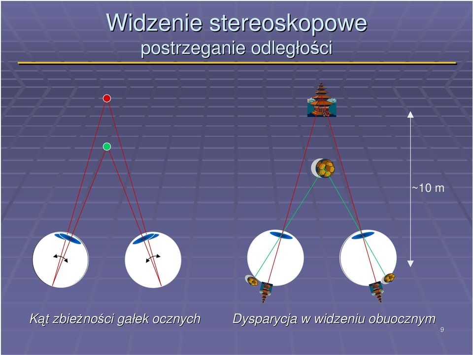 m Kt zbienoci gałek ocznych