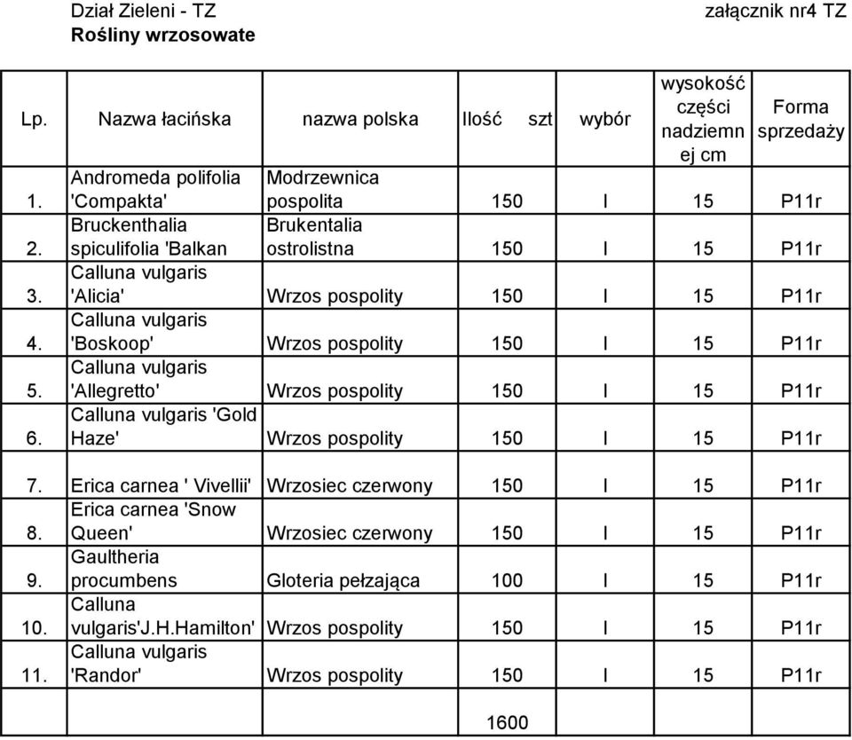 vulgaris 'Alicia' Wrzos pospolity 150 I 15 P11r Calluna vulgaris 'Boskoop' Wrzos pospolity 150 I 15 P11r Calluna vulgaris 'Allegretto' Wrzos pospolity 150 I 15 P11r Calluna vulgaris 'Gold Haze' Wrzos