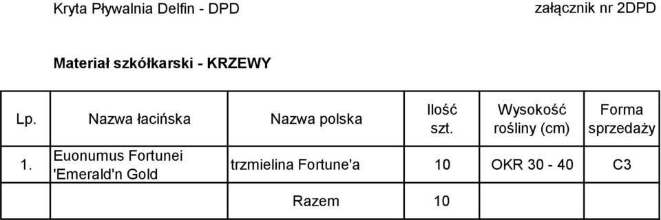 Euonumus Fortunei 'Emerald'n Gold Ilość szt.