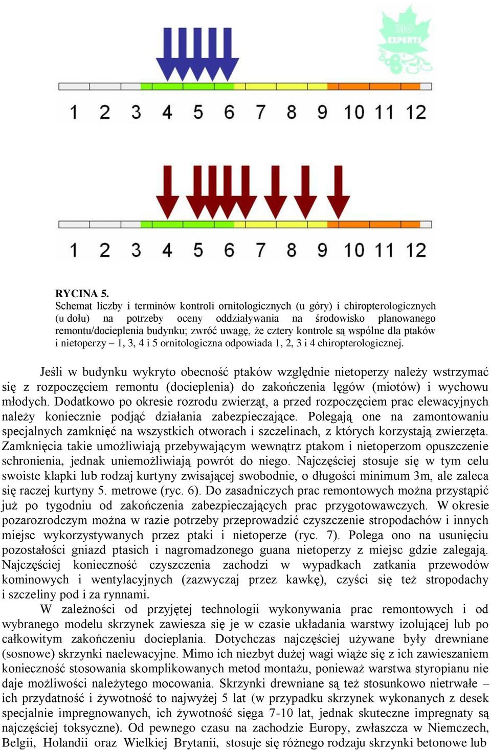 cztery kontrole są wspólne dla ptaków i nietoperzy 1, 3, 4 i 5 ornitologiczna odpowiada 1, 2, 3 i 4 chiropterologicznej.