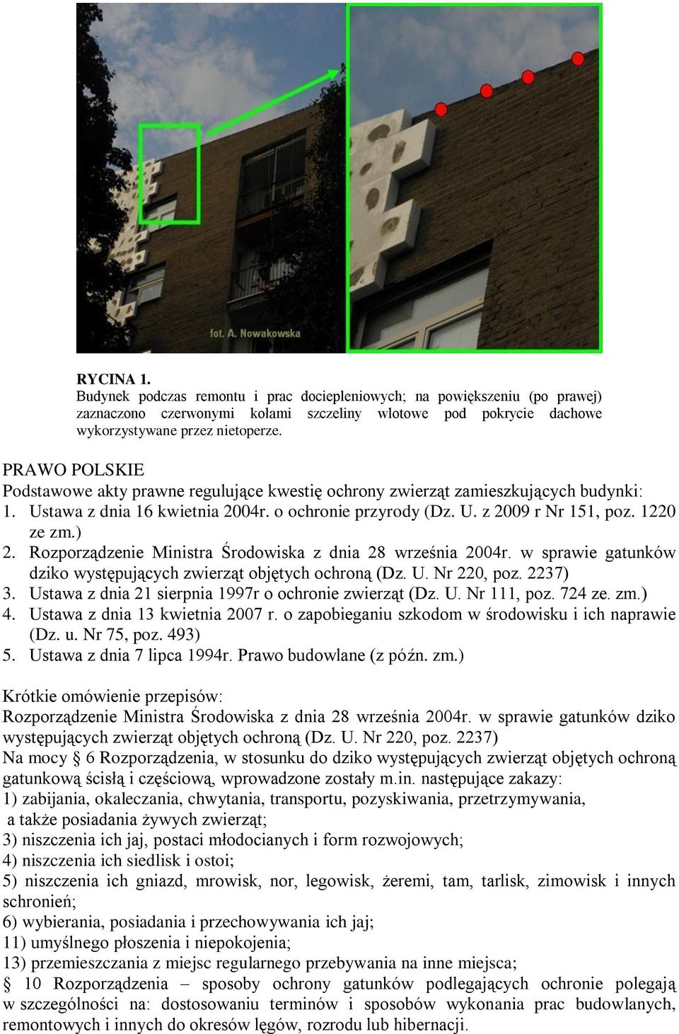 Rozporządzenie Ministra Środowiska z dnia 28 września 2004r. w sprawie gatunków dziko występujących zwierząt objętych ochroną (Dz. U. Nr 220, poz. 2237) 3.