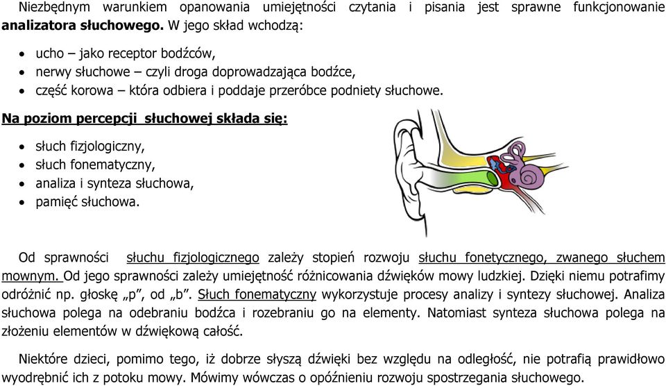 Na poziom percepcji słuchowej składa się: słuch fizjologiczny, słuch fonematyczny, analiza i synteza słuchowa, pamięć słuchowa.