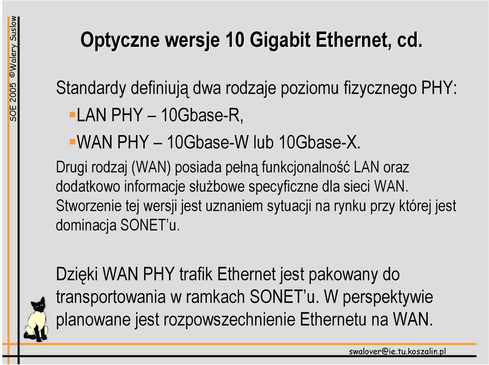 Drugi rodzaj (WAN) posiada pełną funkcjonalność LAN oraz dodatkowo informacje służbowe specyficzne dla sieci WAN.