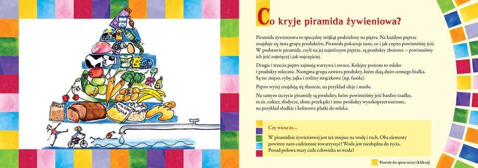 Drugie i trzecie piętro zajmują warzywa i owoce. Kolejny poziom to mleko i produkty mleczne. Następna grupa zawiera produkty, które dają dużo cennego białka.