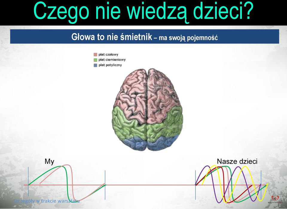 Głowa to nie