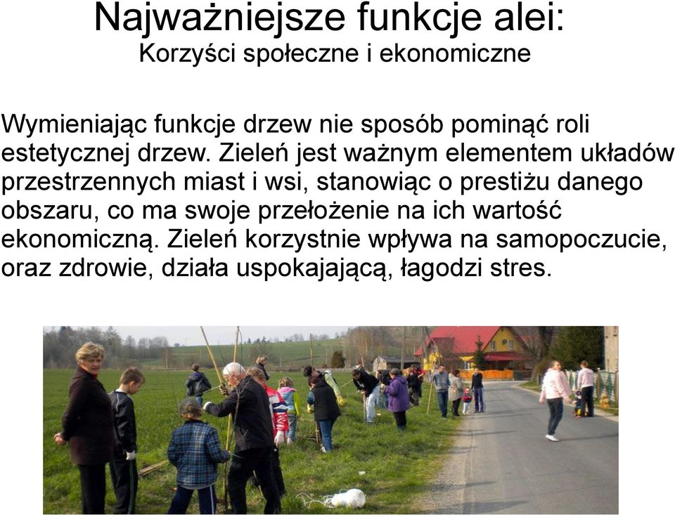 Zieleń jest ważnym elementem układów przestrzennych miast i wsi, stanowiąc o prestiżu danego