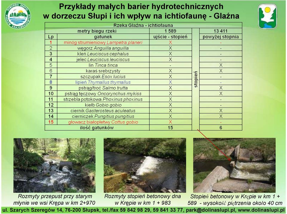 wsi Krępa w km 2+970 Rozmyty stopień betonowy dna w Krępie w km 1 +