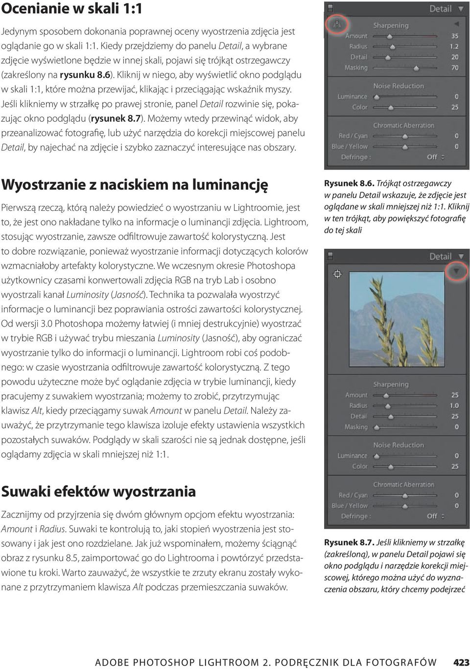 Kliknij w niego, aby wyświetlić okno podglądu w skali 1:1, które można przewijać, klikając i przeciągając wskaźnik myszy.