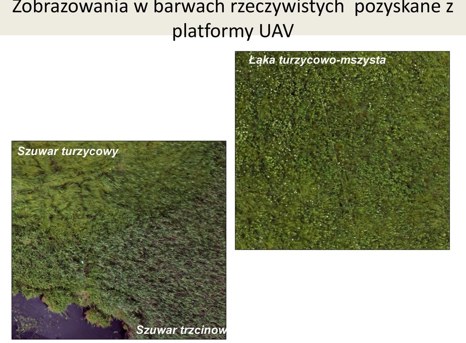 platformy UAV Łąka