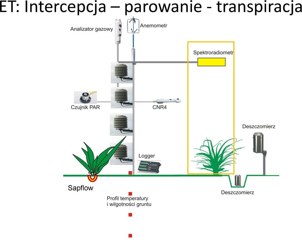 transpiracja Pomiar