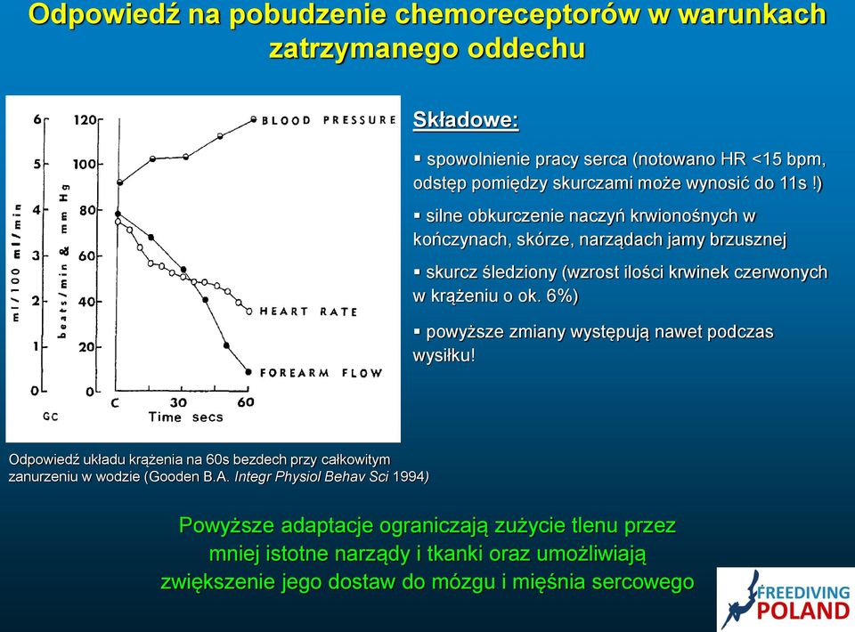 ) silne obkurczenie naczyń krwionośnych w kończynach, skórze, narządach jamy brzusznej skurcz śledziony (wzrost ilości krwinek czerwonych w krążeniu o ok.