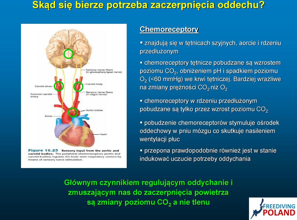 2 (<60 mmhg) we krwi tętniczej.