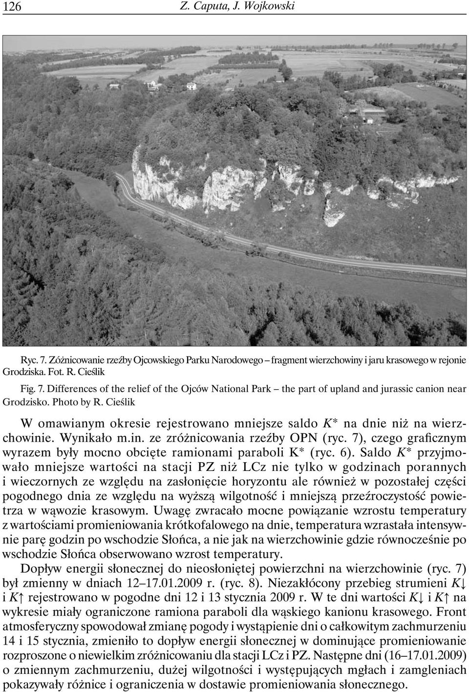 7), czego graficznym wyrazem były mocno obcięte ramionami paraboli K* (ryc. 6).