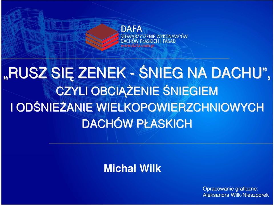 WIELKOPOWIERZCHNIOWYCH DACHÓW W PŁASKICHP