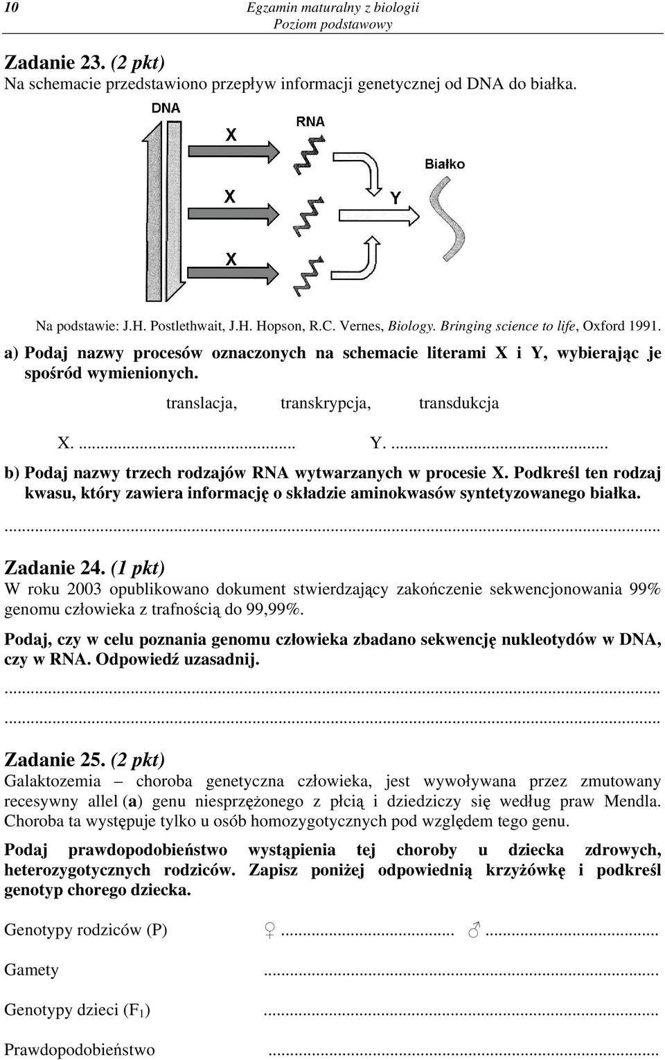 Podkreśl ten rodzaj kwasu, który zawiera informację o składzie aminokwasów syntetyzowanego białka. Zadanie 24.