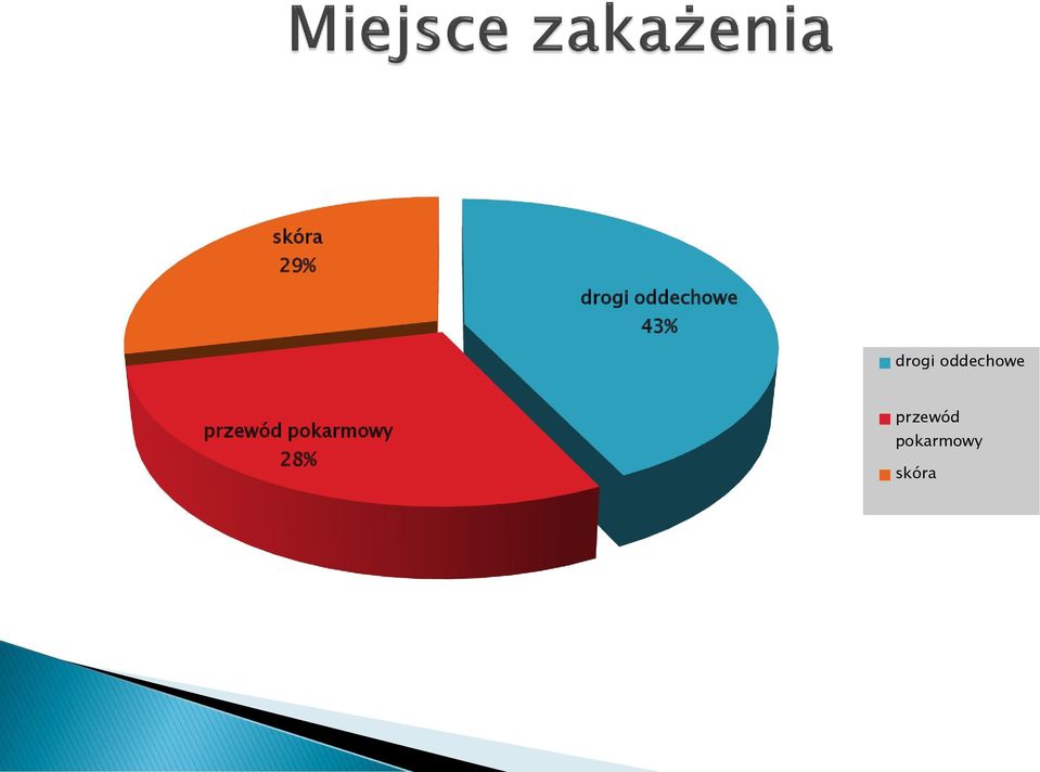 oddechowe przewód