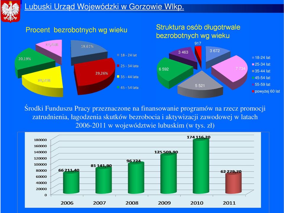 Funduszu Pracy przeznaczone na finansowanie programów na rzecz promocji zatrudnienia,