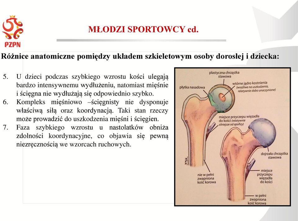 odpowiednio szybko. 6. Kompleks mięśniowo ścięgnisty nie dysponuje właściwą siłą oraz koordynacją.