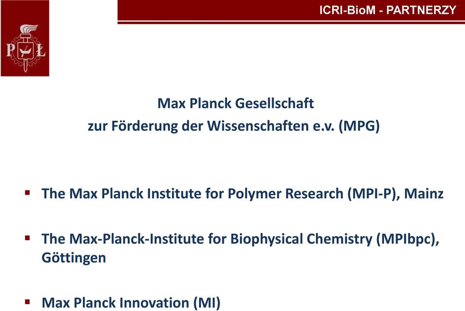 (MPG) The Max Planck Institute for Polymer Research (MPI-P),