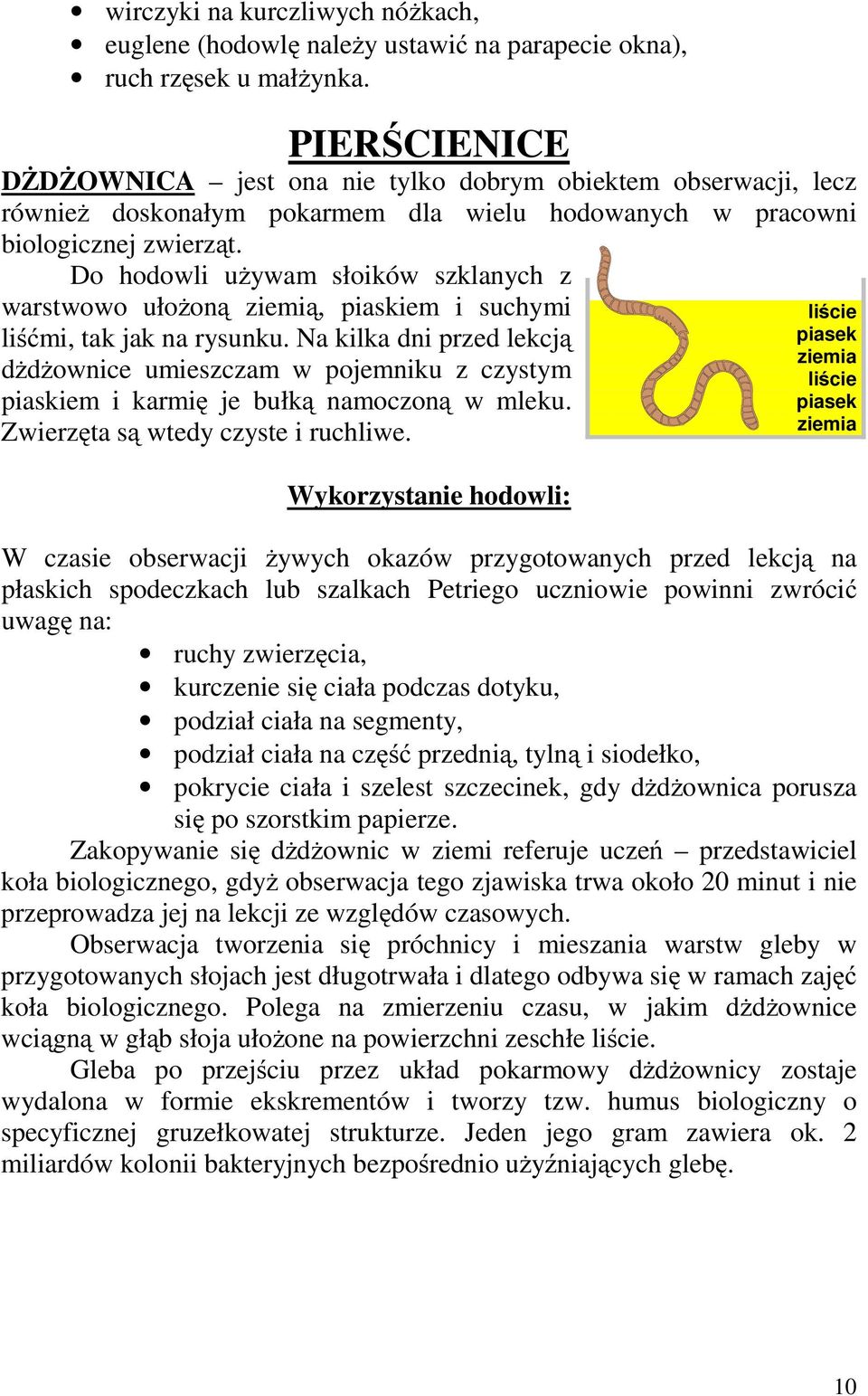 Do hodowli używam słoików szklanych z warstwowo ułożoną ziemią, piaskiem i suchymi liśćmi, tak jak na rysunku.