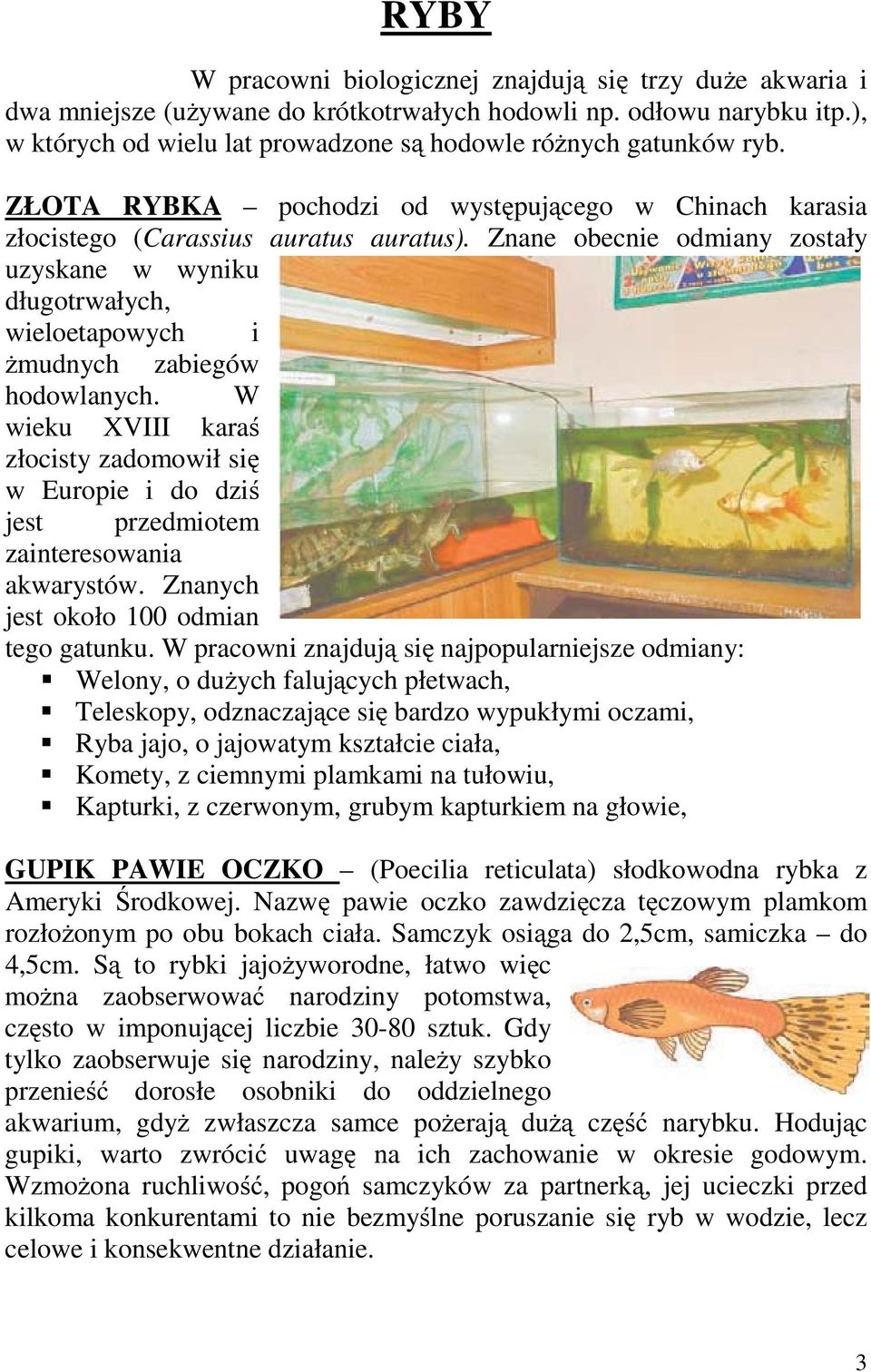 Znane obecnie odmiany zostały uzyskane w wyniku długotrwałych, wieloetapowych i żmudnych zabiegów hodowlanych.
