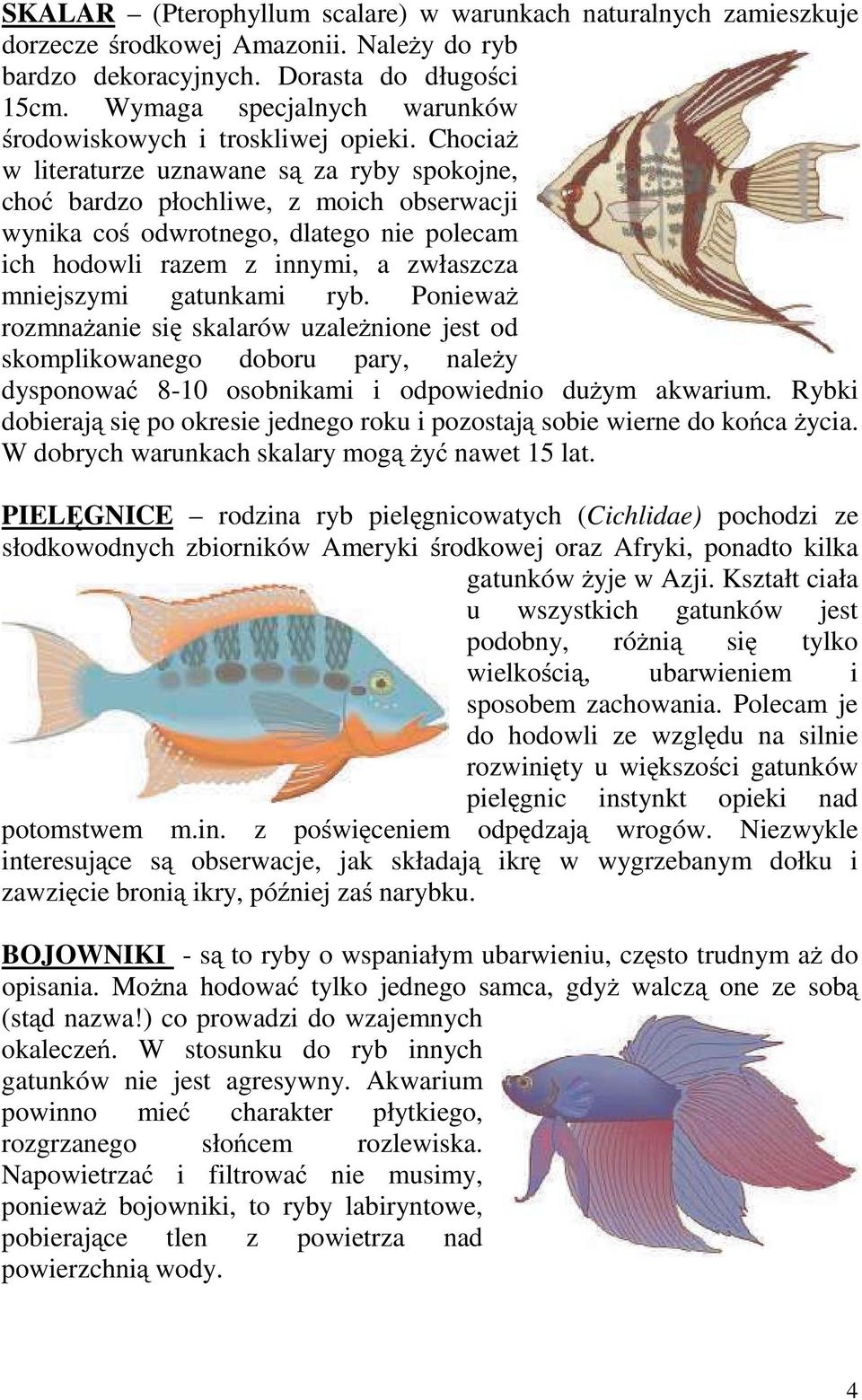 Chociaż w literaturze uznawane są za ryby spokojne, choć bardzo płochliwe, z moich obserwacji wynika coś odwrotnego, dlatego nie polecam ich hodowli razem z innymi, a zwłaszcza mniejszymi gatunkami