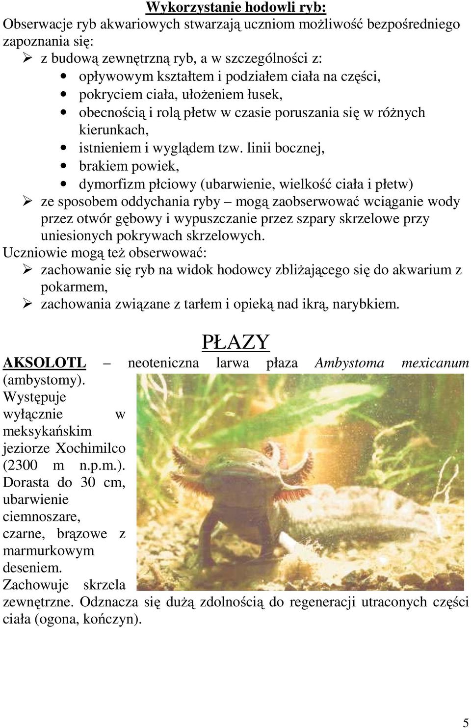 linii bocznej, brakiem powiek, dymorfizm płciowy (ubarwienie, wielkość ciała i płetw) ze sposobem oddychania ryby mogą zaobserwować wciąganie wody przez otwór gębowy i wypuszczanie przez szpary