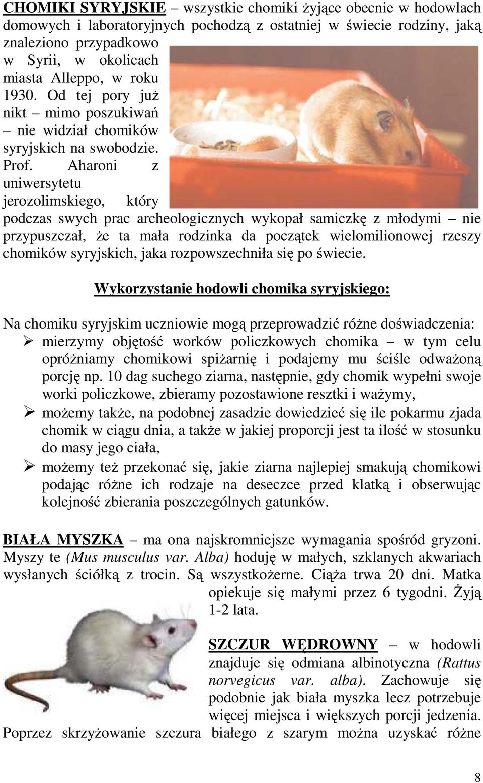 Aharoni z uniwersytetu jerozolimskiego, który podczas swych prac archeologicznych wykopał samiczkę z młodymi nie przypuszczał, że ta mała rodzinka da początek wielomilionowej rzeszy chomików