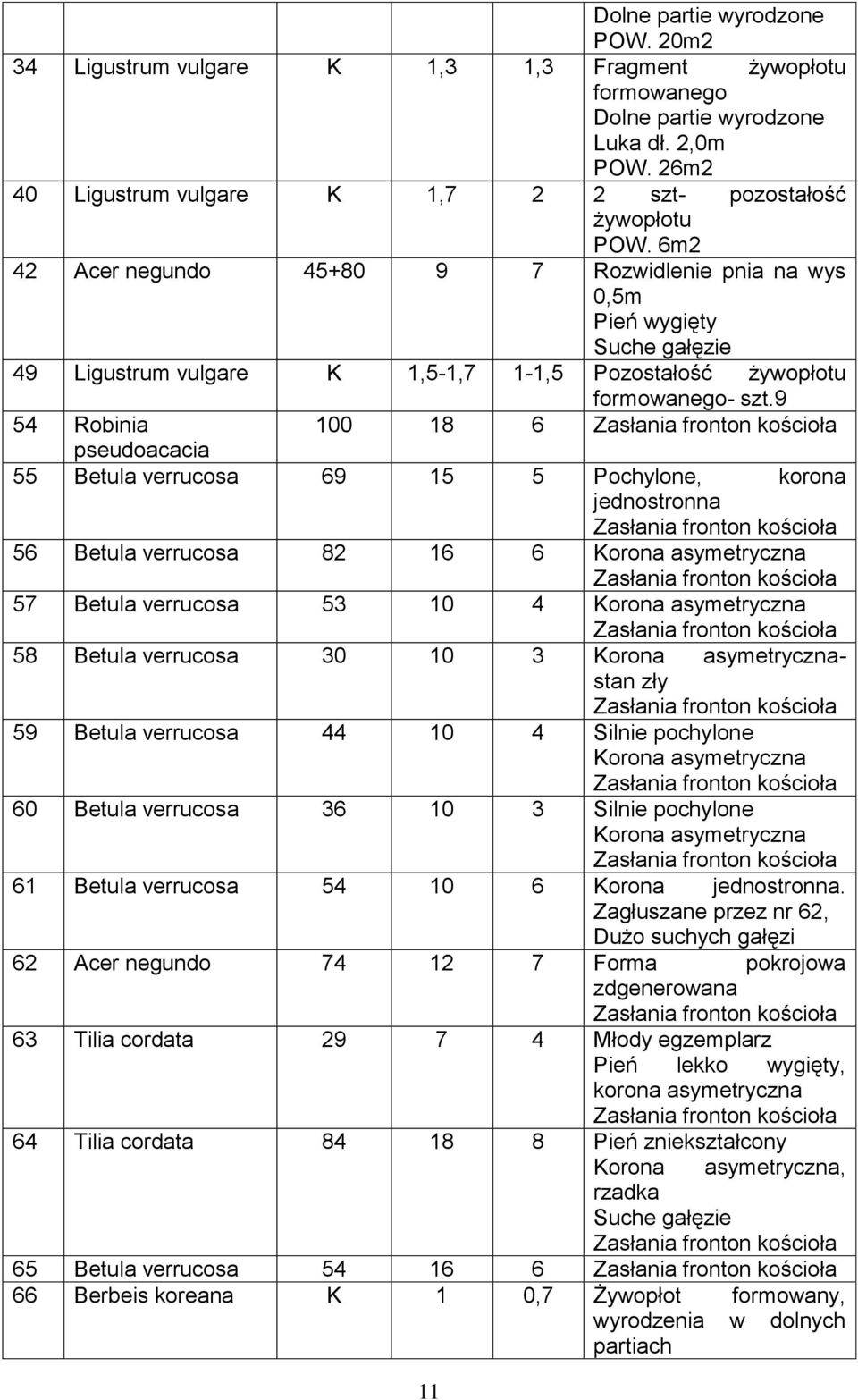 6m2 42 Acer negundo 45+80 9 7 Rozwidlenie pnia na wys 0,5m Pień wygięty Suche gałęzie 49 Ligustrum vulgare K 1,5-1,7 1-1,5 Pozostałość żywopłotu formowanego- szt.