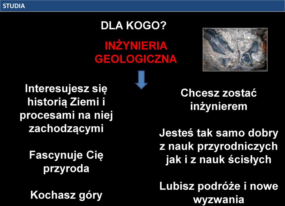 procesami na niej zachodzącymi Fascynuje Cię przyroda Kochasz