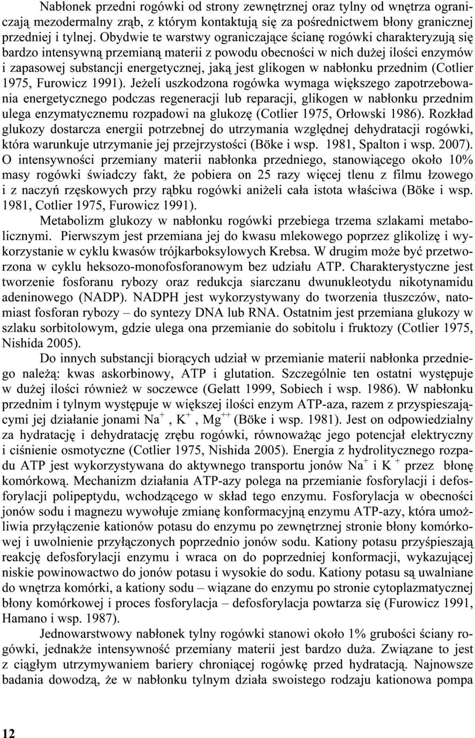 glikogen w nabłonku przednim (Cotlier 1975, Furowicz 1991).