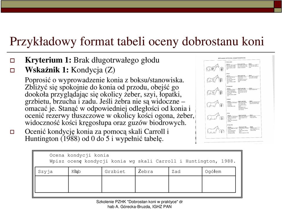 Stanąć w odpowiedniej odległości od konia i ocenić rezerwy tłuszczowe w okolicy kości ogona, Ŝeber, widoczność kości kręgosłupa oraz guzów biodrowych.