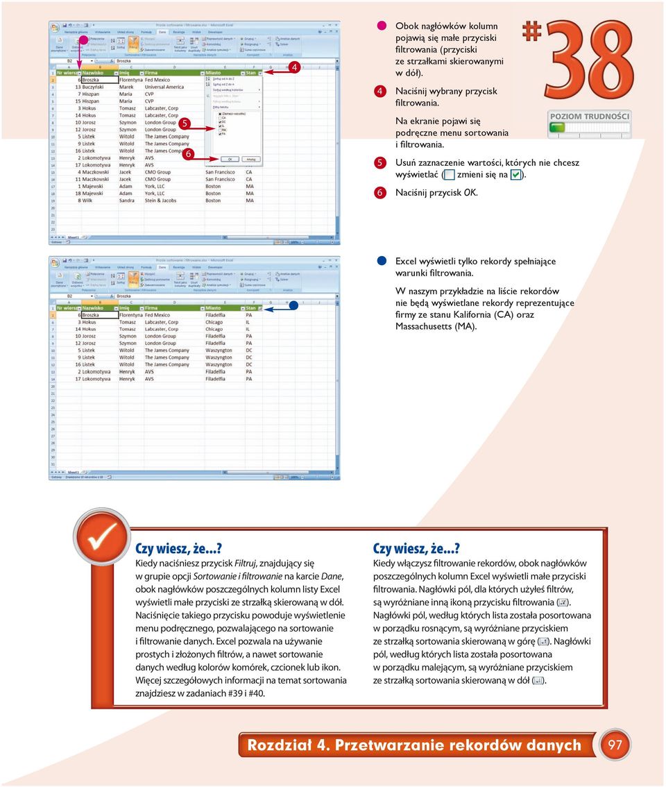 Excel wyświetli tylko rekordy spełniające warunki fi ltrowania.