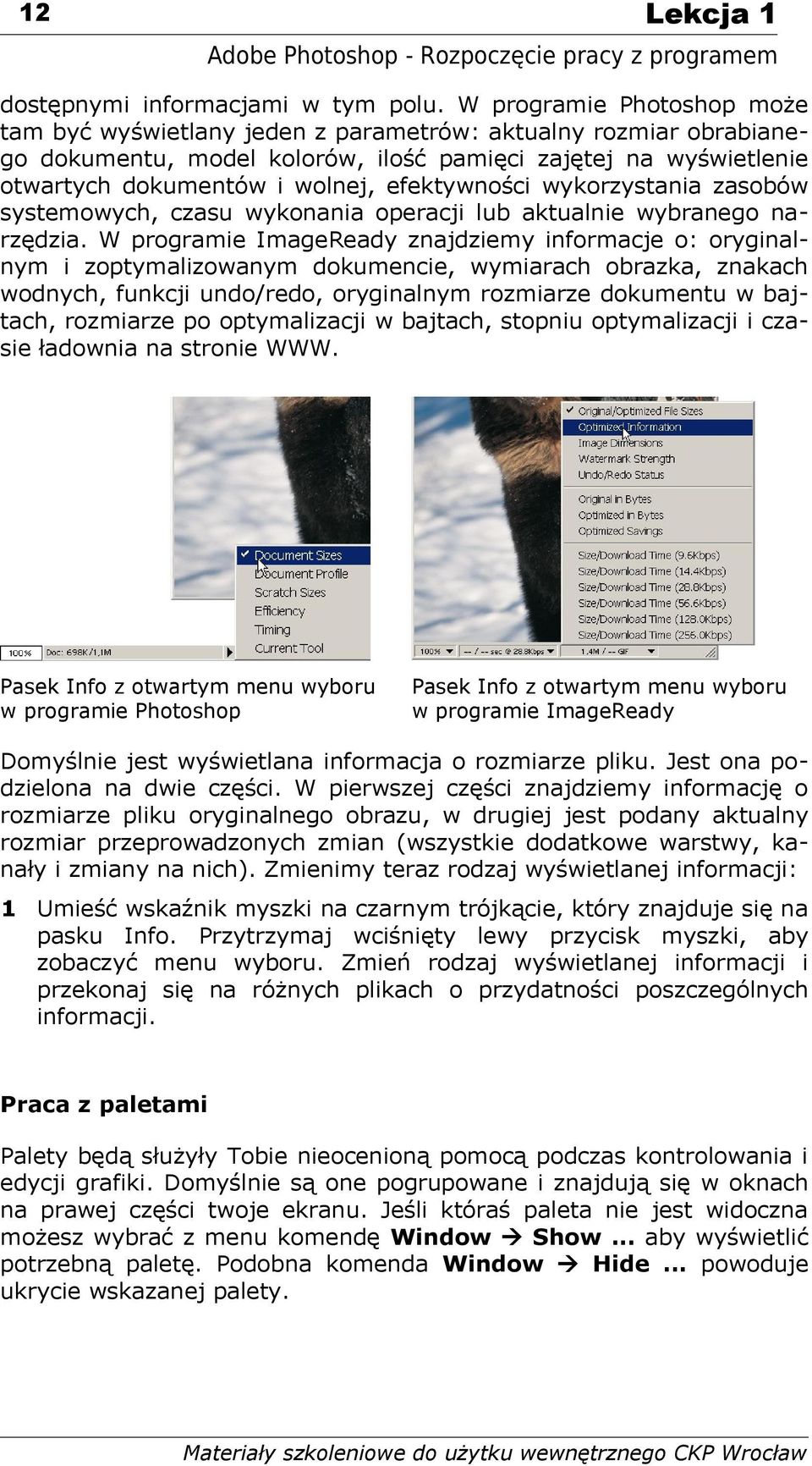 efektywności wykorzystania zasobów systemowych, czasu wykonania operacji lub aktualnie wybranego narzędzia.