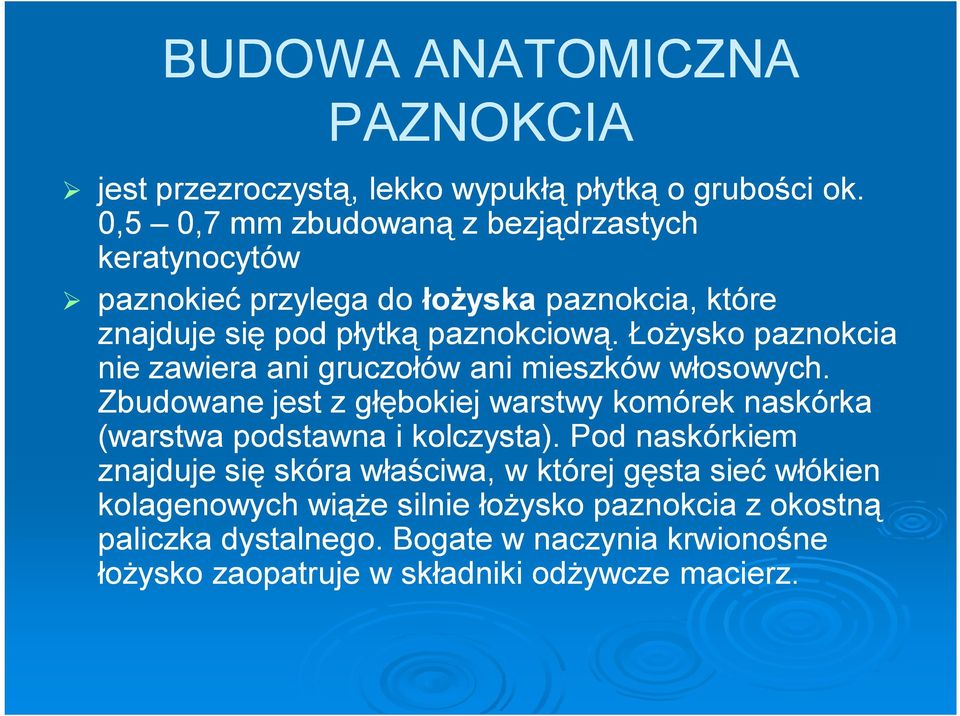 Łożysko paznokcia nie zawiera ani gruczołów ani mieszków włosowych.